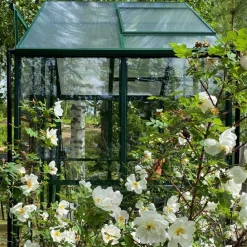 Växthus 3,3m² | 4mm säkerhetsglas | 5 års stormgaranti