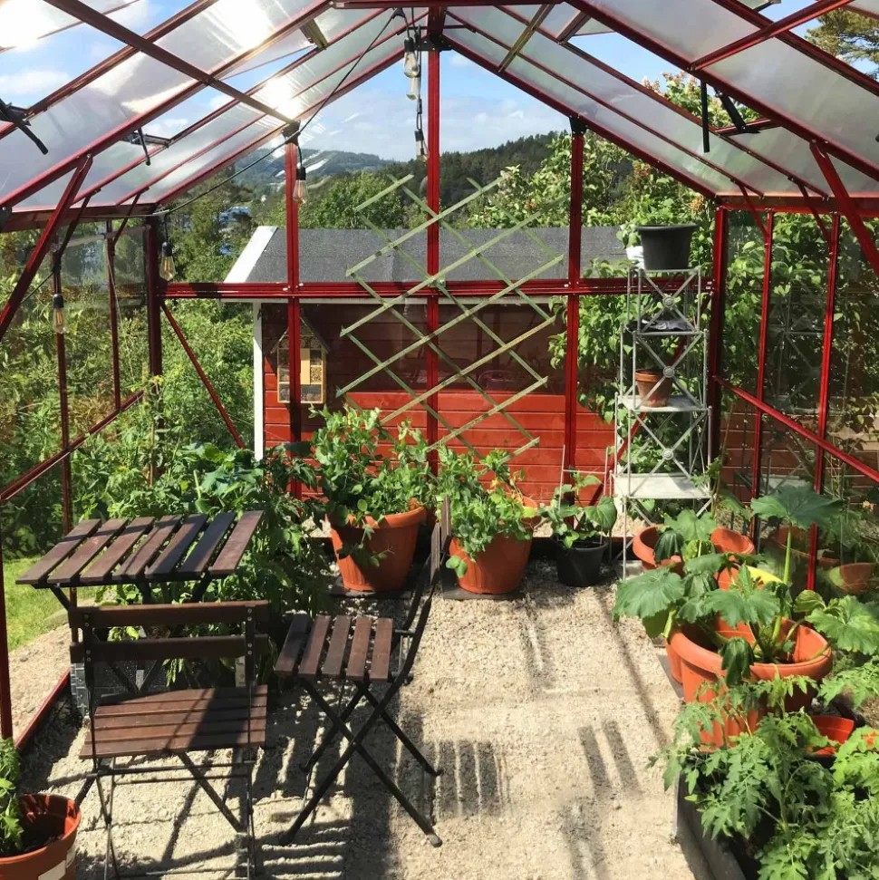 Växthus 9,6 m² | 4mm säkerhetsglas | 5 års stormgaranti