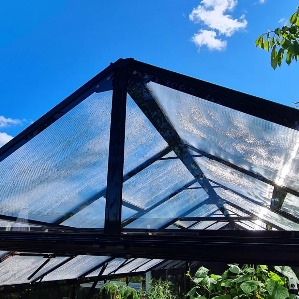 Växthus 9,6 m² | 4mm säkerhetsglas | 5 års stormgaranti