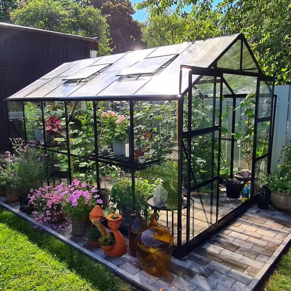 Växthus 9,6 m² | 4mm säkerhetsglas | 5 års stormgaranti