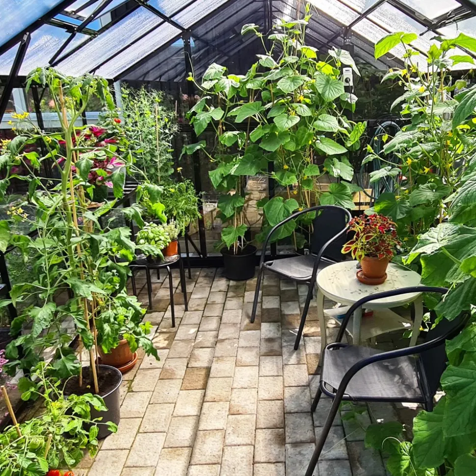 Växthus 9,6 m² | 4mm säkerhetsglas | 5 års stormgaranti