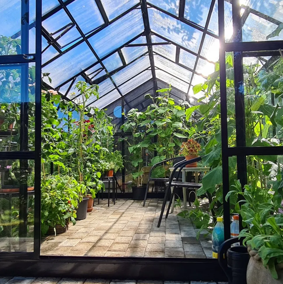 Växthus 9,6 m² | 4mm säkerhetsglas | 5 års stormgaranti
