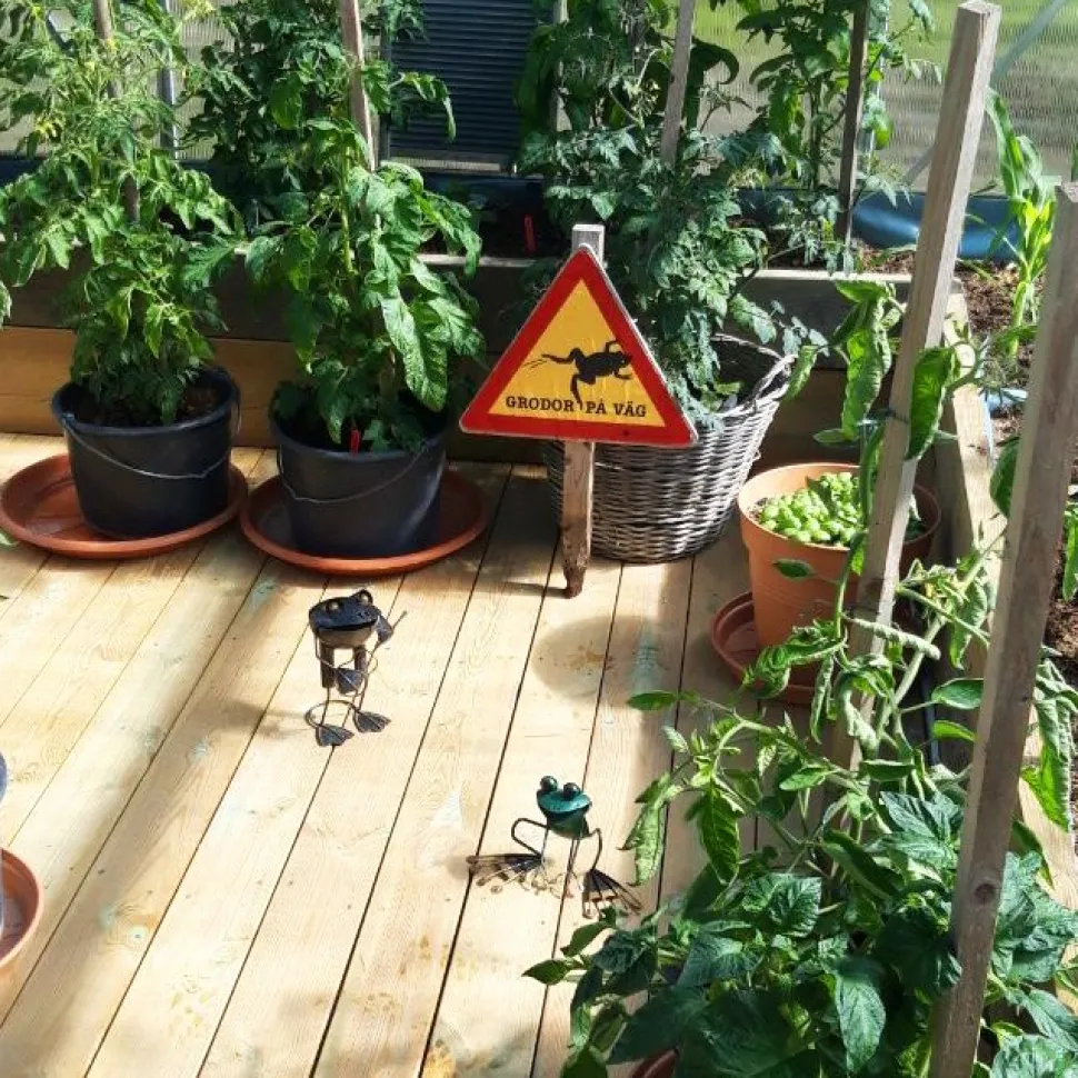Växthus 18m² Premium | Extra hög odlingshöjd | 6mm kanalplast